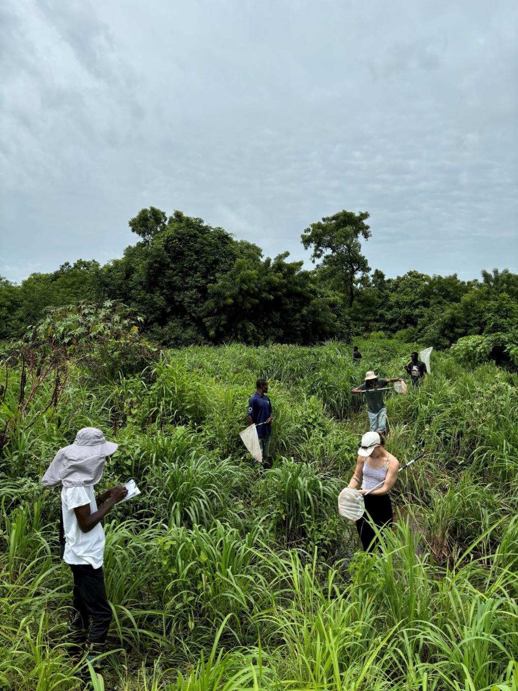 people conducting research in field in ghana