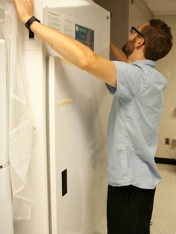 breeding chamber for gnats