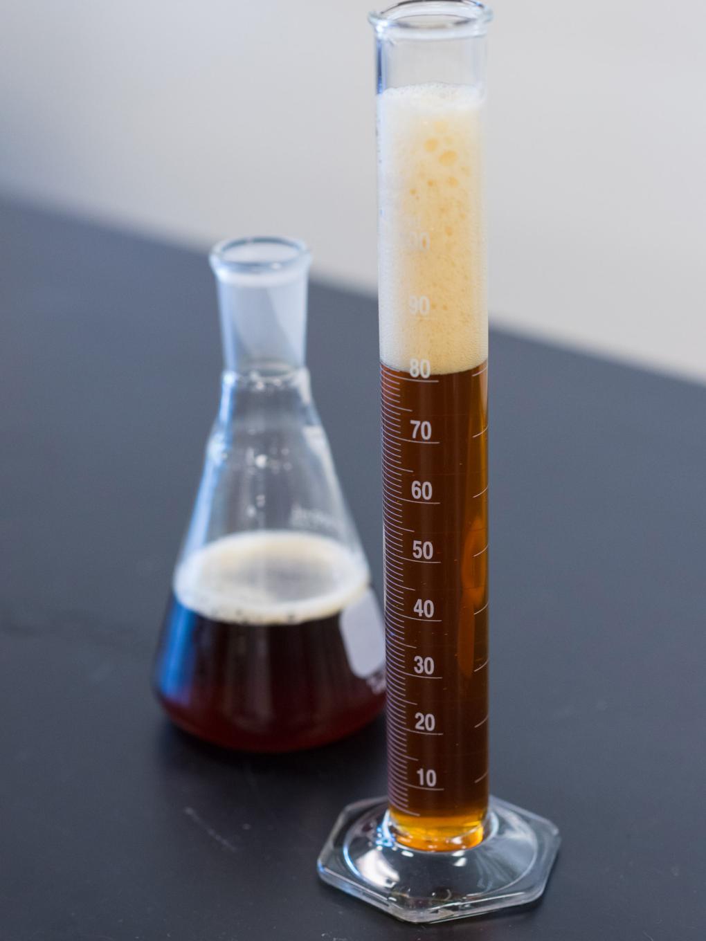 Brewing and Fermentation Science Degree Launched at Penn College