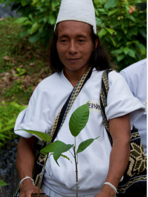 Hernan, an Arhuaco Indian
