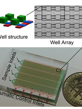 Well structure and size of microfluidic device