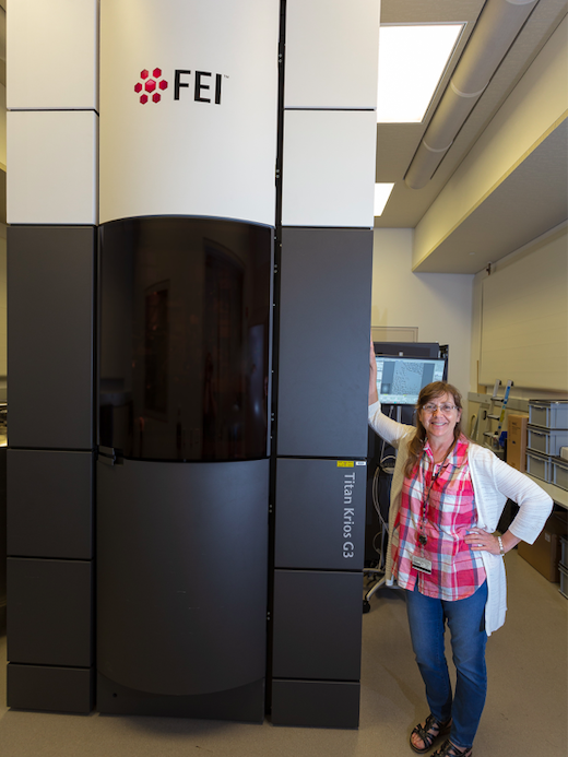 Susan Hafenstein with the Titan Krios cryo electron microscope