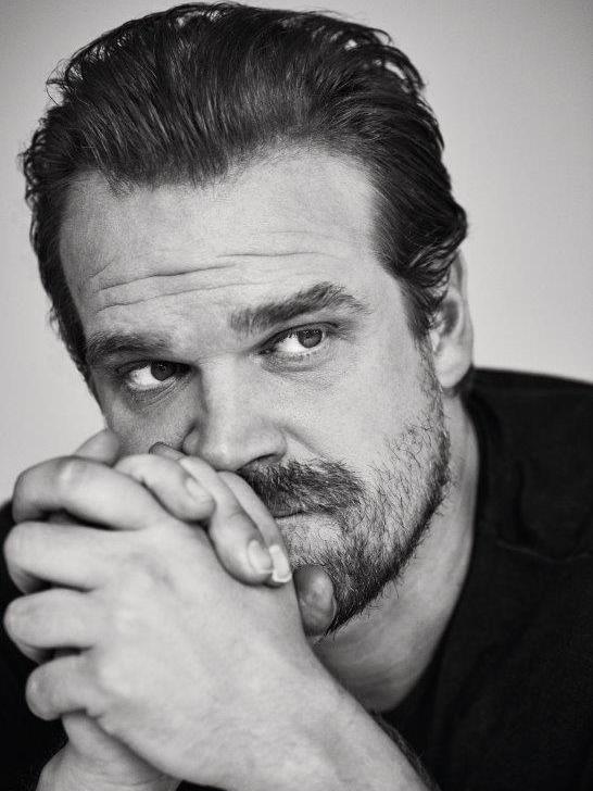 A portrait of the actor David Harbour