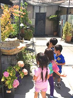 Children looking at flowers