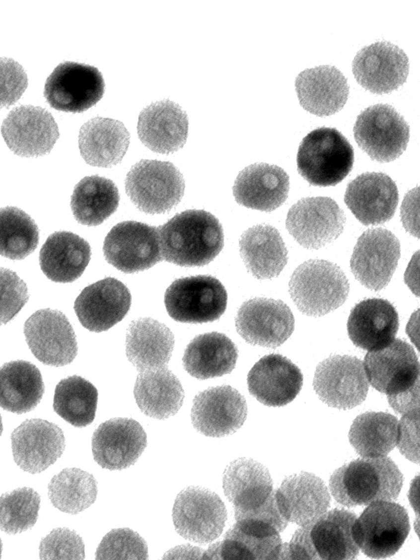 dozens of black and gray smudgy circles on a white background
