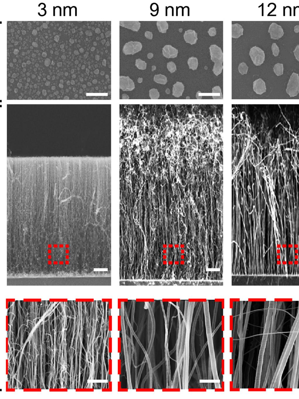 New, carbon-nanotube tool for ultra-sensitive virus detection and identification IMAGE 2