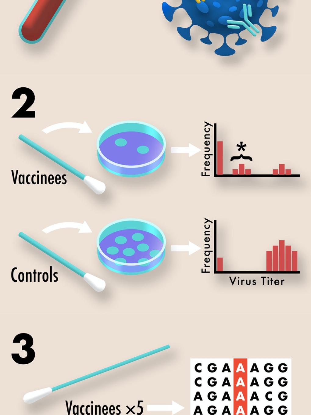 Image showing three ways vaccine resistance can arise