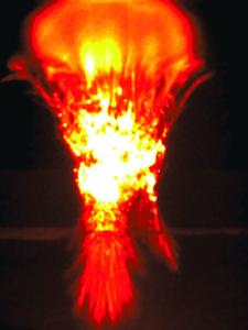 Photograph of a sprite