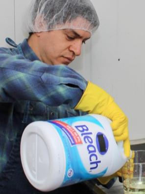 food safety bleach