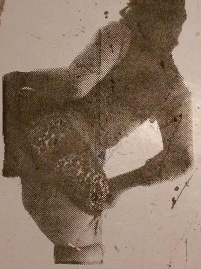 Backpage Poems by M.F.A. Candidate Krissi Davis