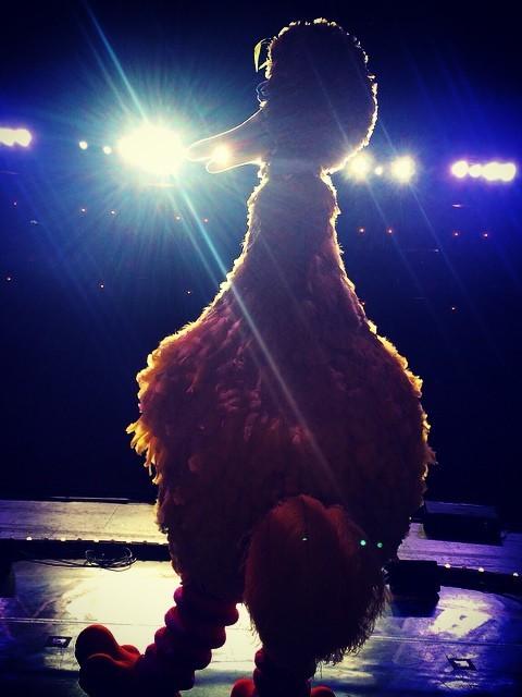 Big Bird on stage, from behind