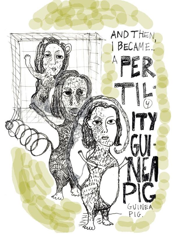 Steinberg guinea pig