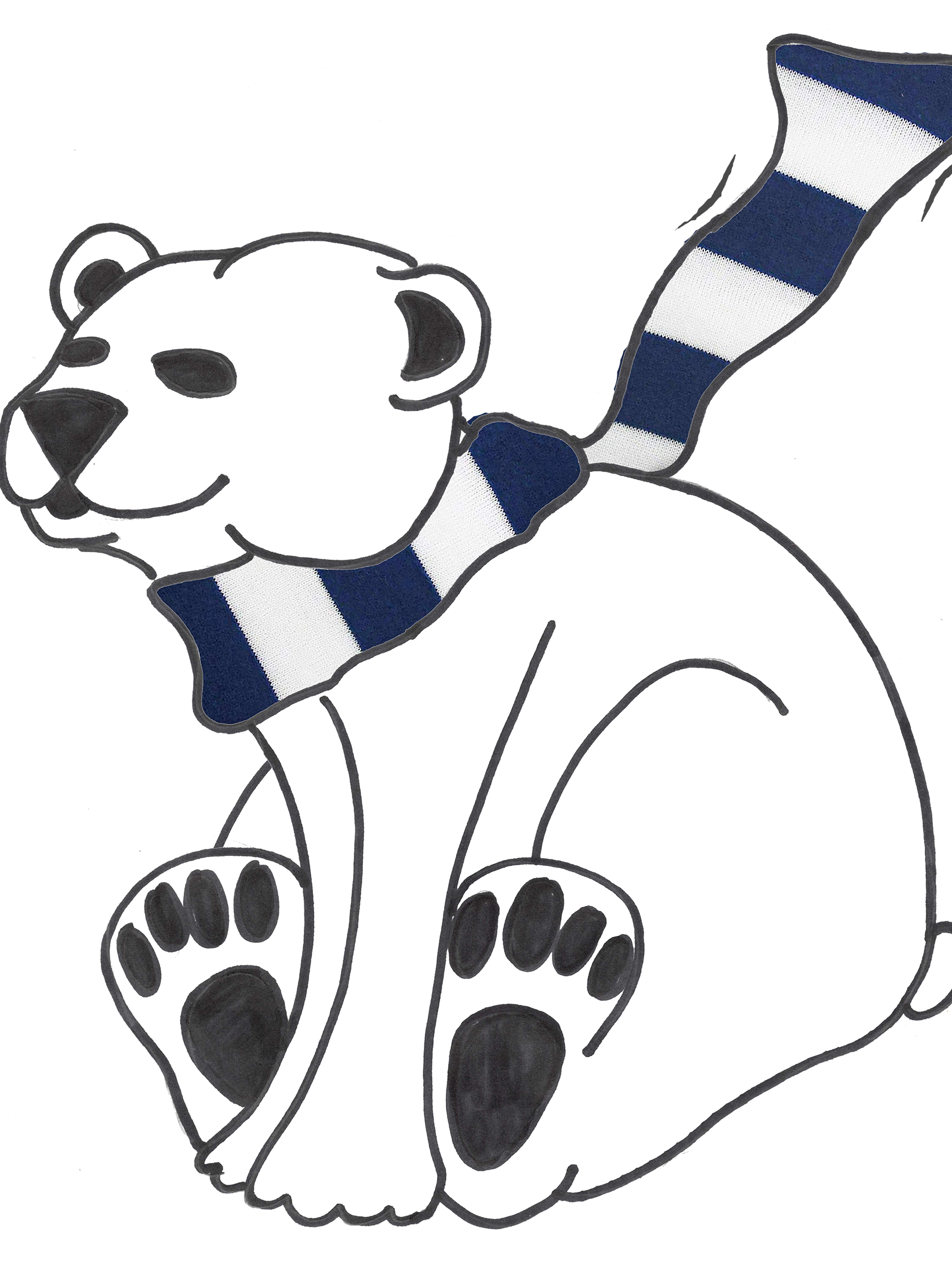 Polar Plunge