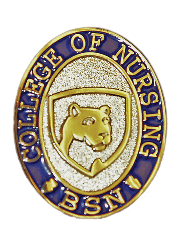 Penn State Nursing Pin