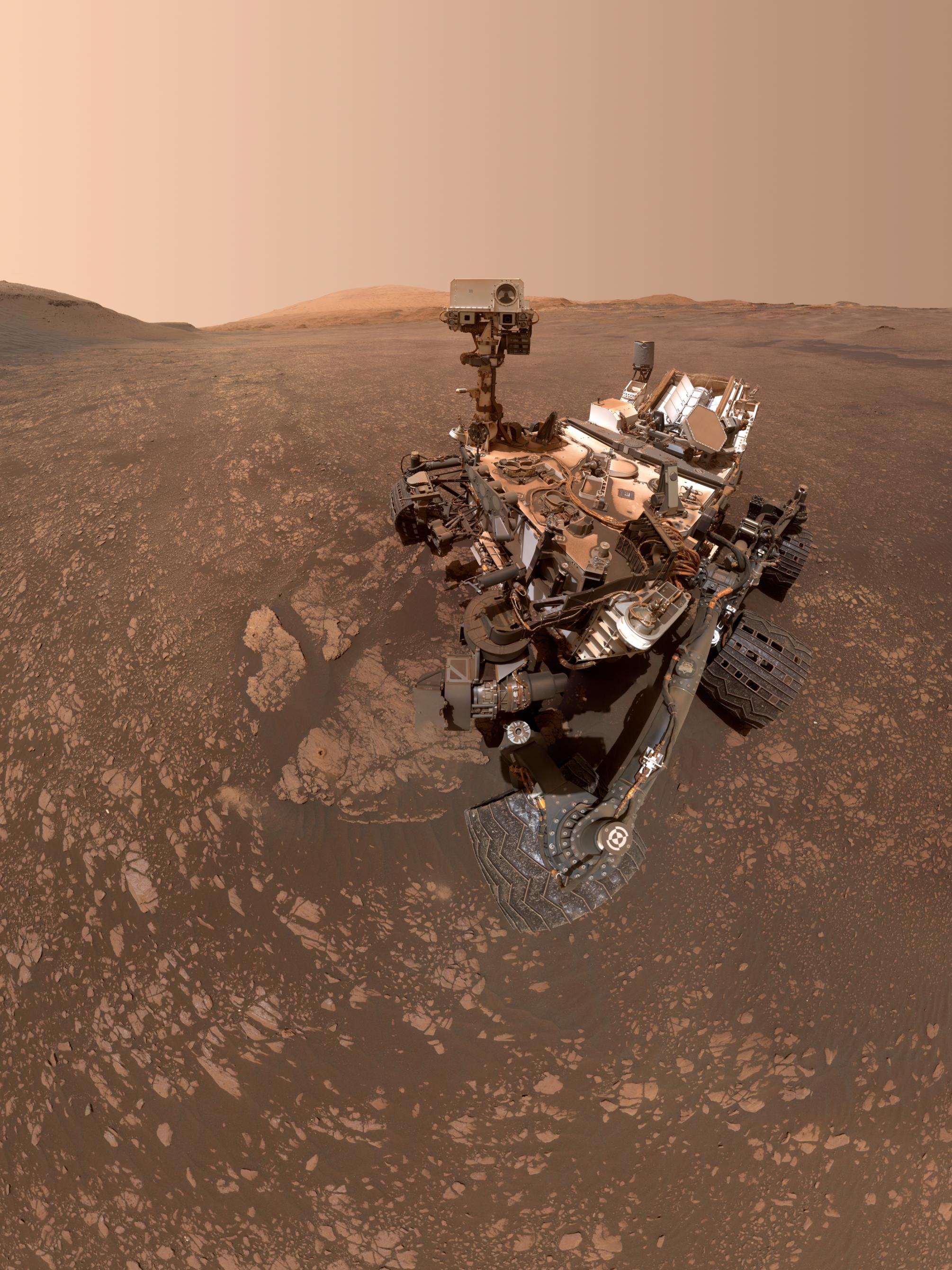 The Curiosity rover's selfie at Aberlady and Kilmarie
