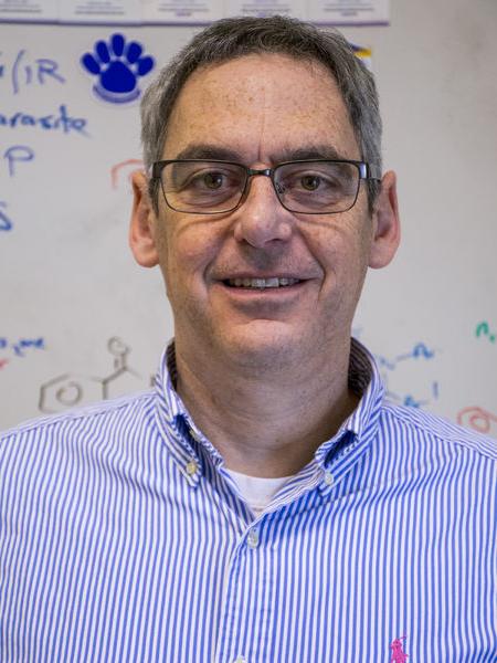 Lee Silverberg, associate professor of chemistry, Penn State Schuylkill