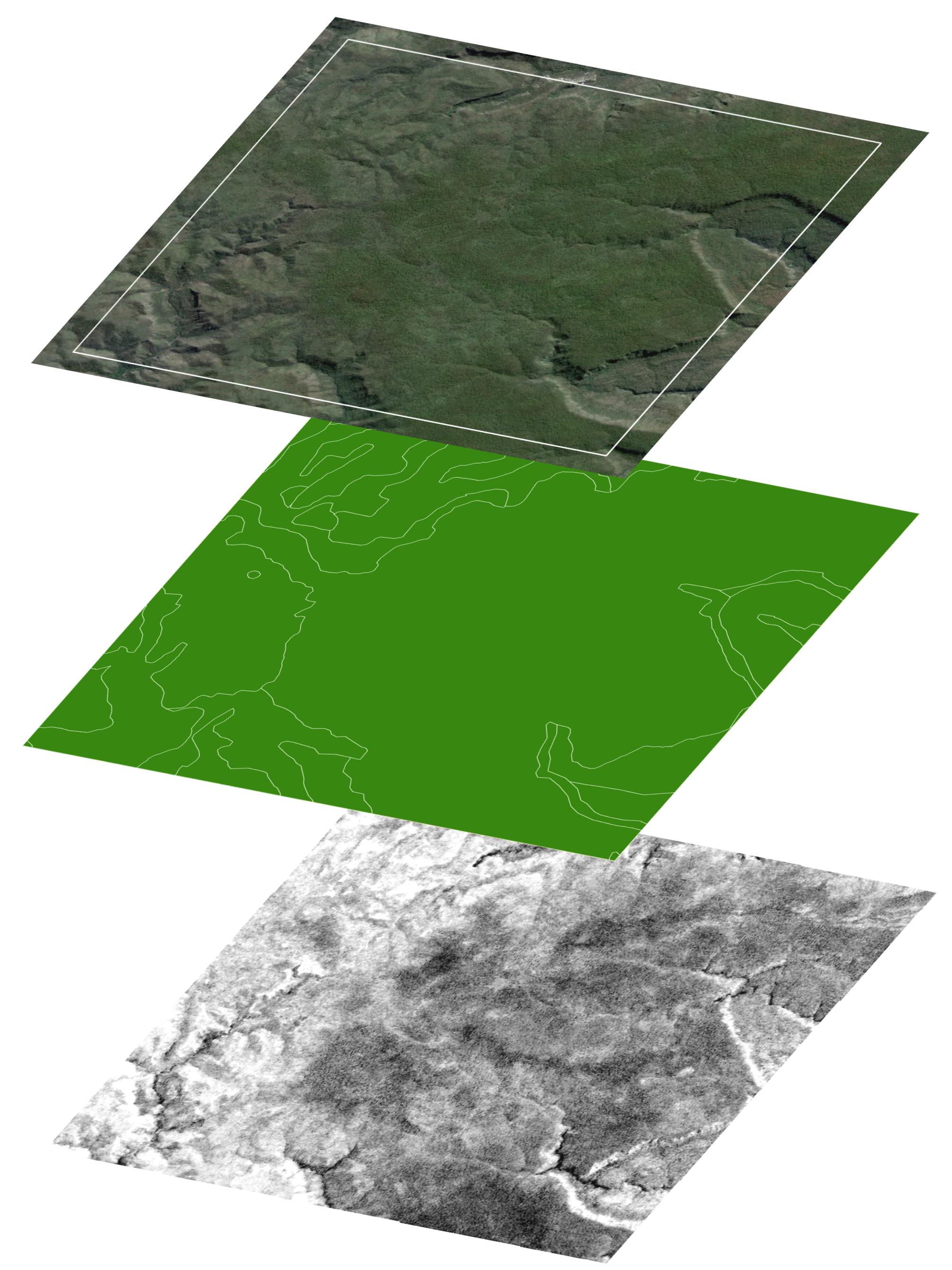 Satellite images of Eucalyptus vegetation