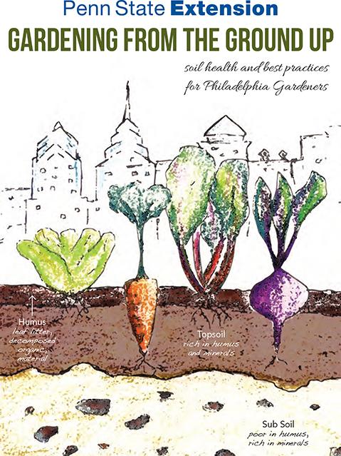 extension publication drawing