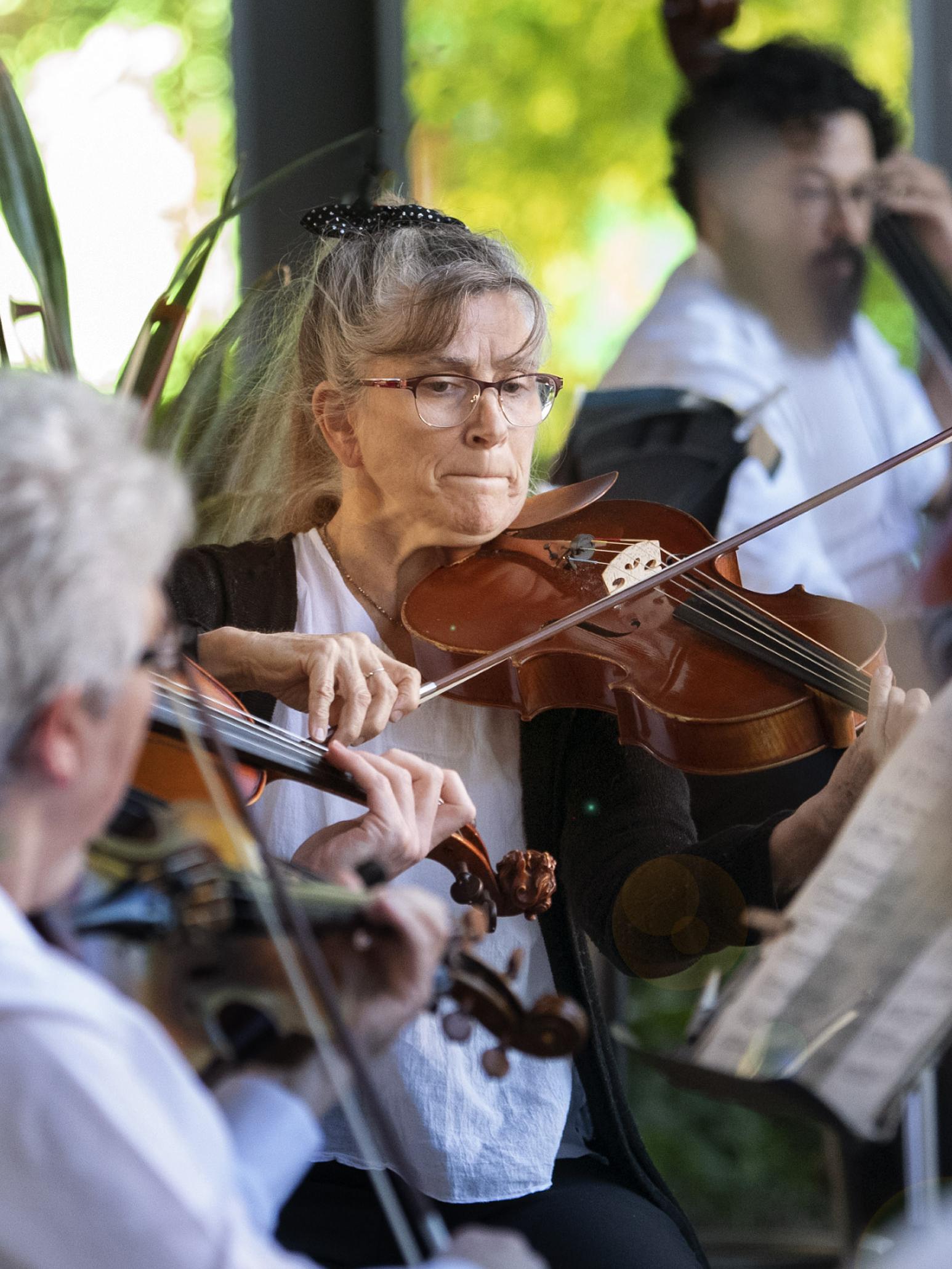 violins at Penn's Woods concert series