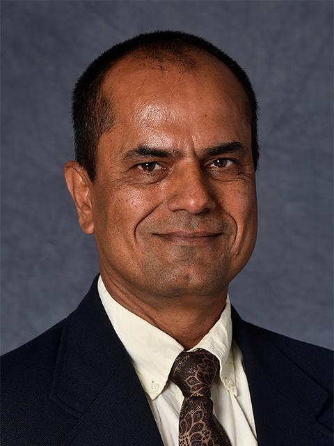Raghu Sangwan headshot