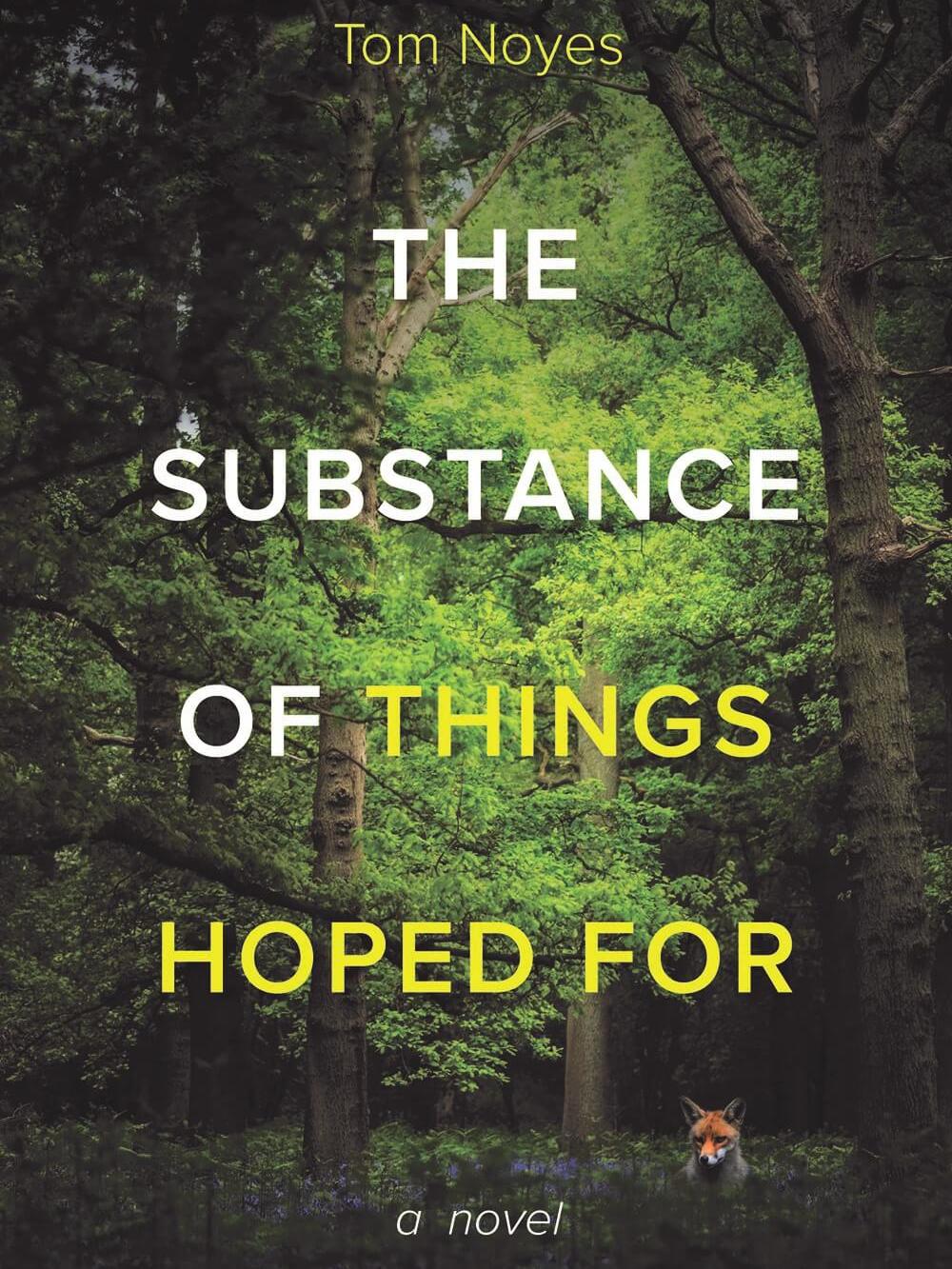 The cover of "The Substance of Things Hoped For," a novel by Penn State Behrend faculty member Tom Noyes.