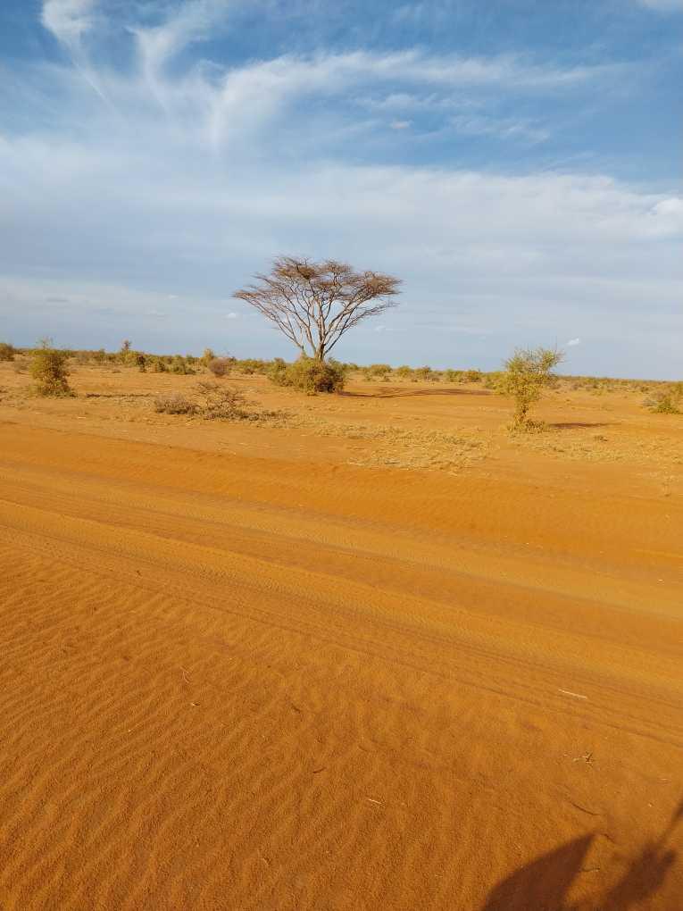 Pictures that the Moran see at the ground level which will allow us to take a health check of the land and the plants it supports. 