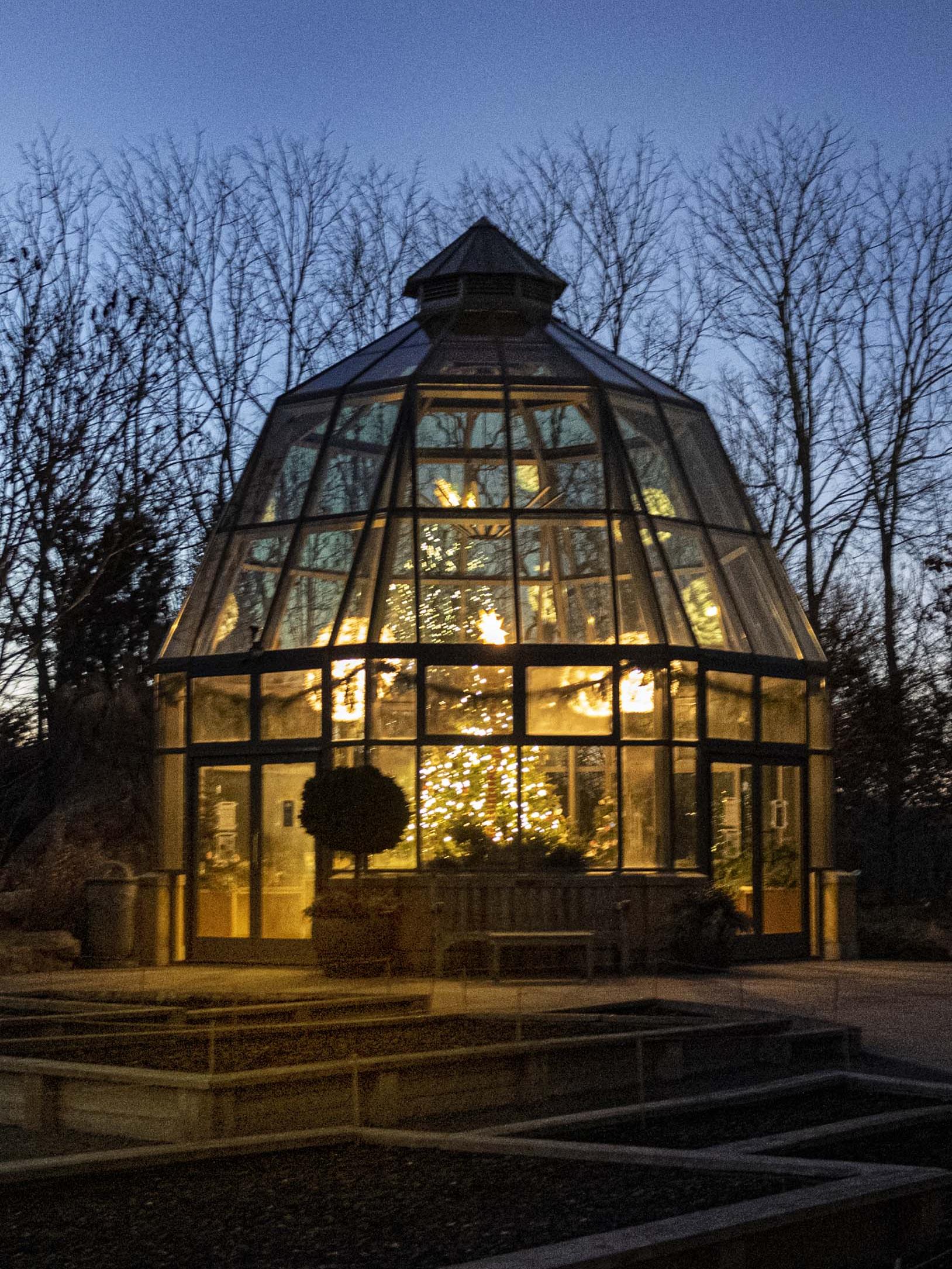 Lighted tree in glass house