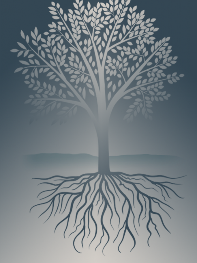 Tree showing its branches from above and roots below the ground.