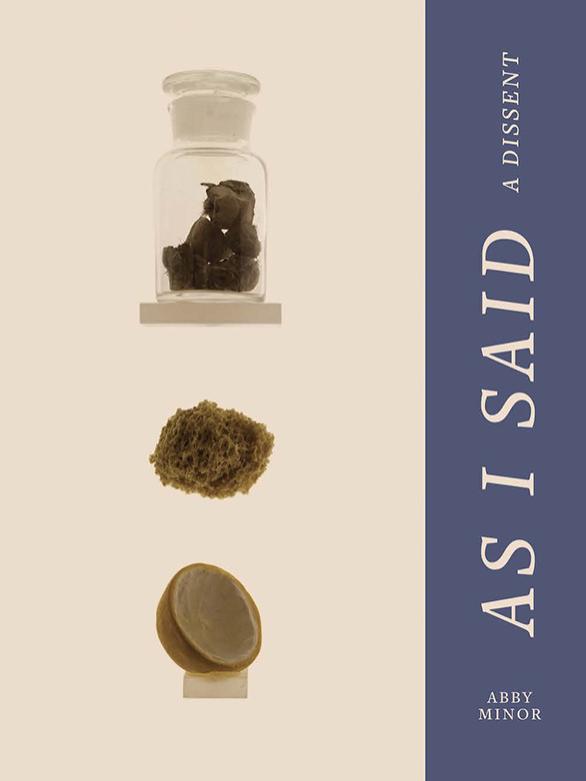 Photo of cover of As I Said by Abby Minor