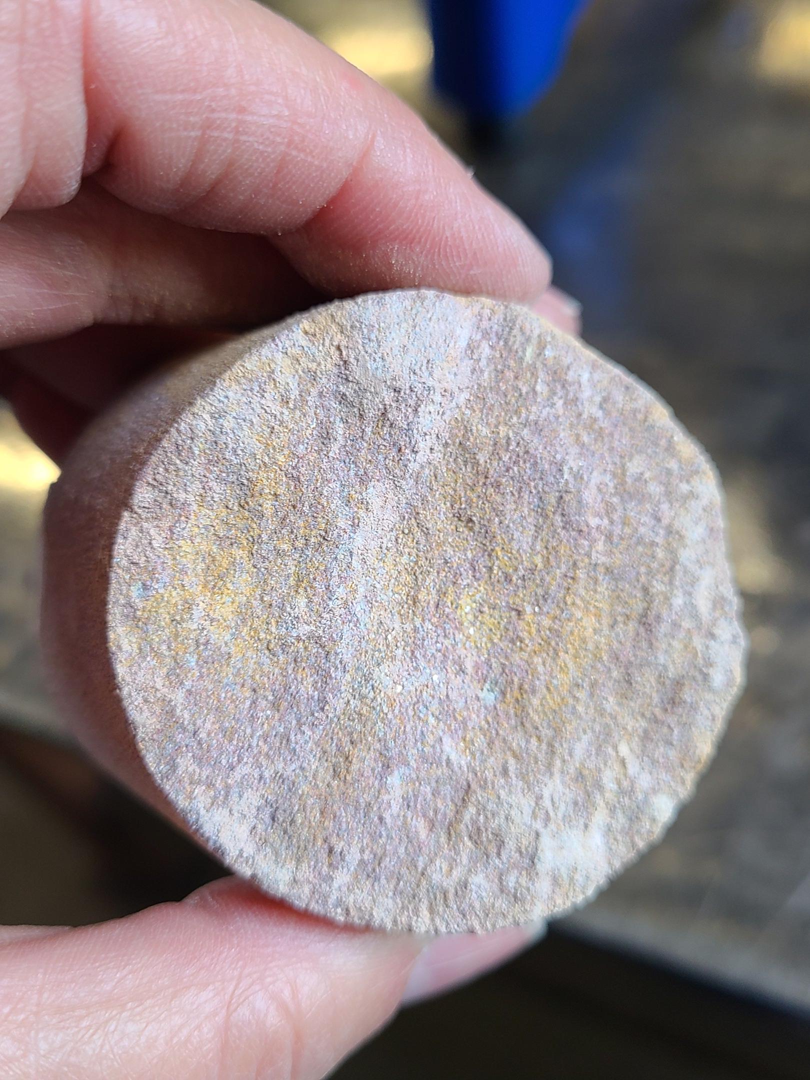 Hand holding cylinder cross-section of gray stone with streaks of brown