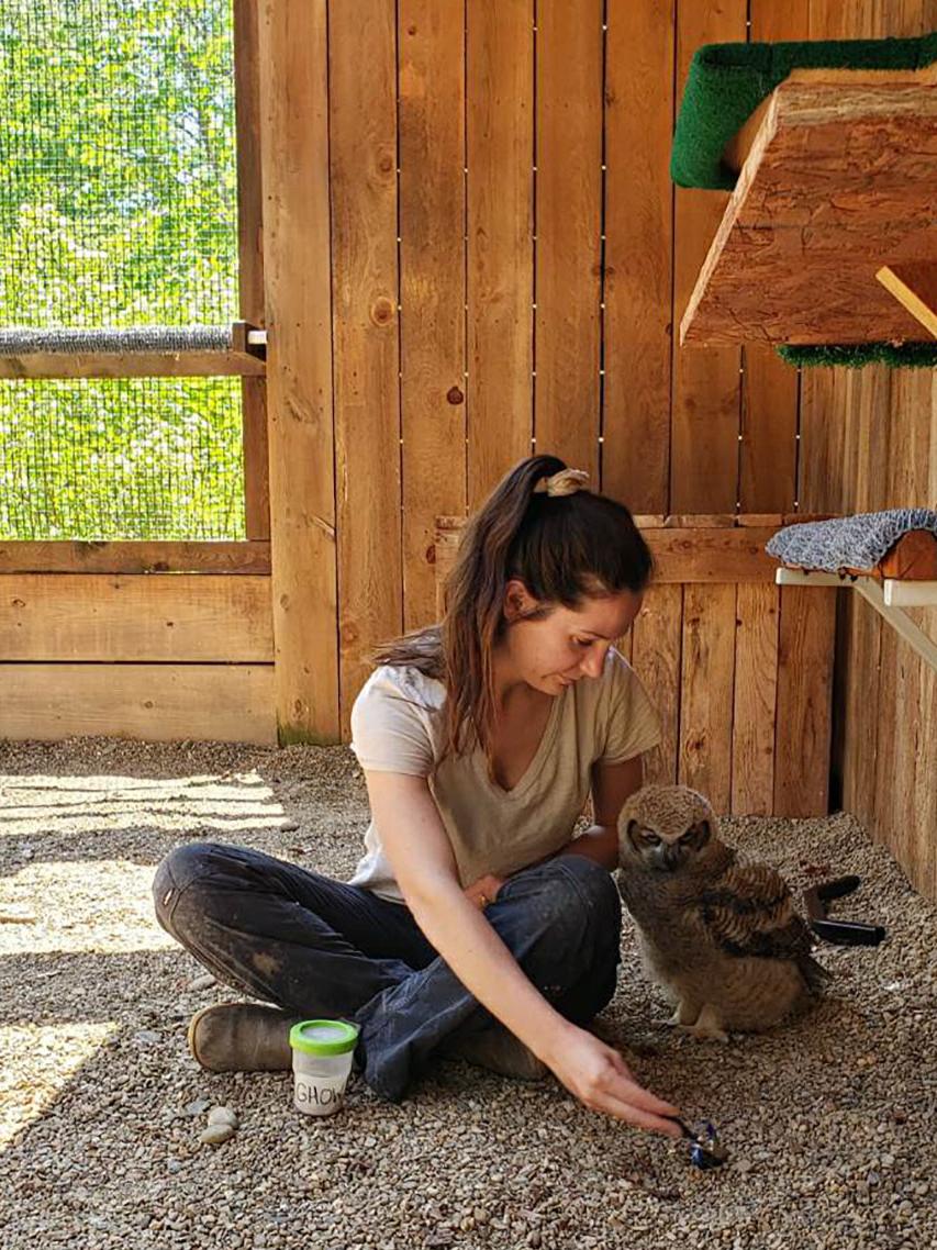 Owl and woman in enclosure