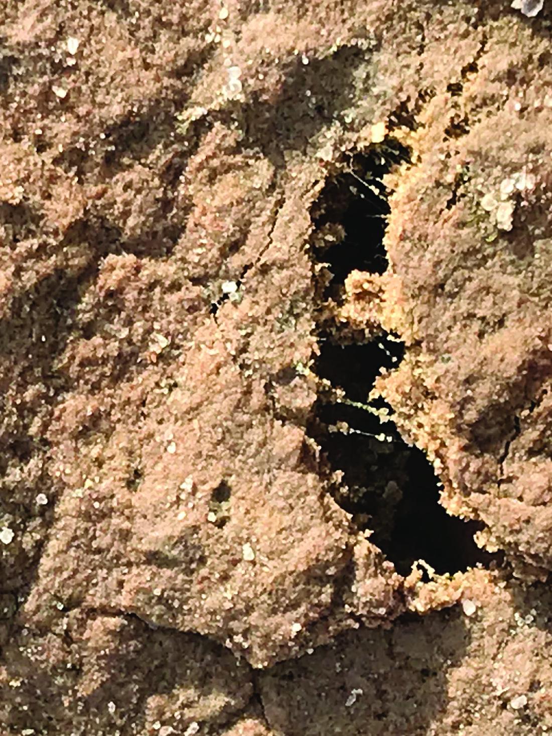 crack in soil
