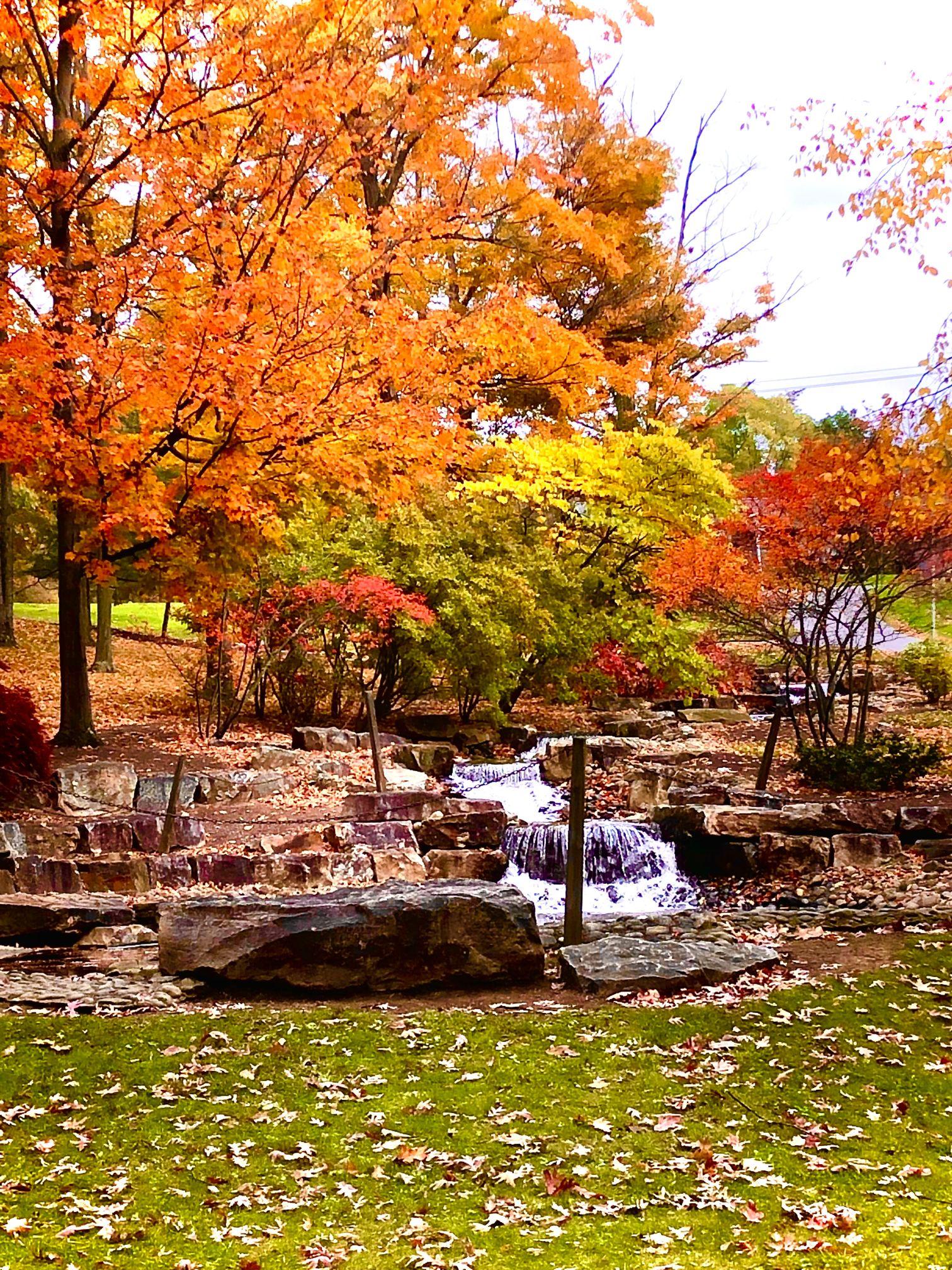Colorful fall trees surround a waterfall at Penn State Altoona.