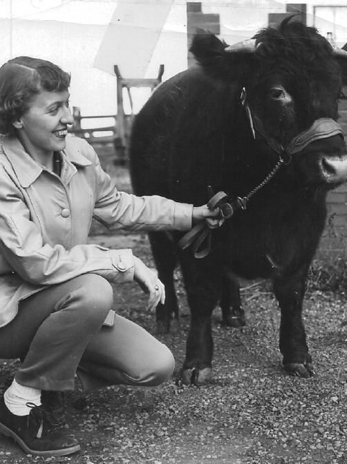 Marion Cullen and a beef cow