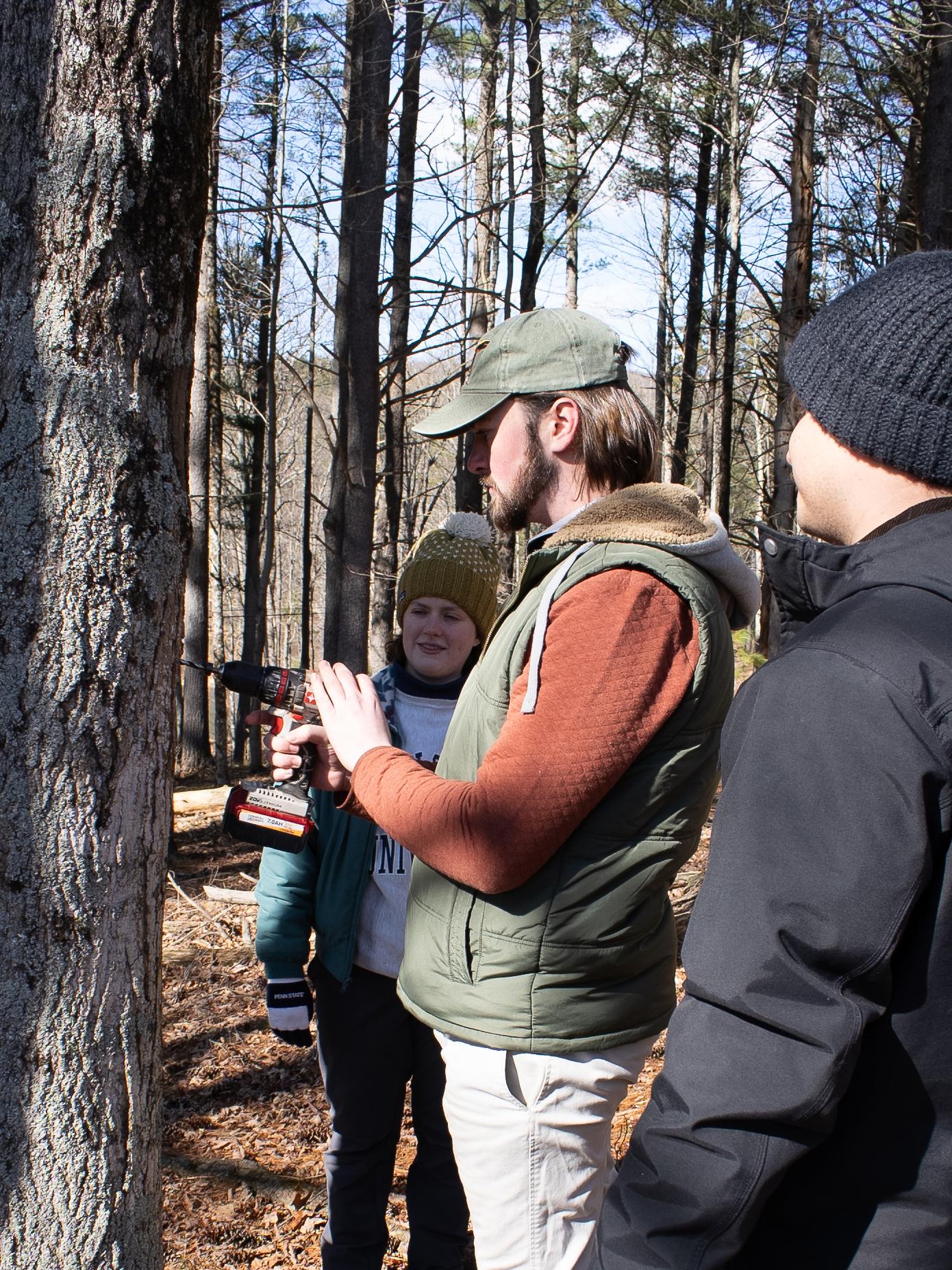 Interns learn to tap maple trees at Shaver's Creek