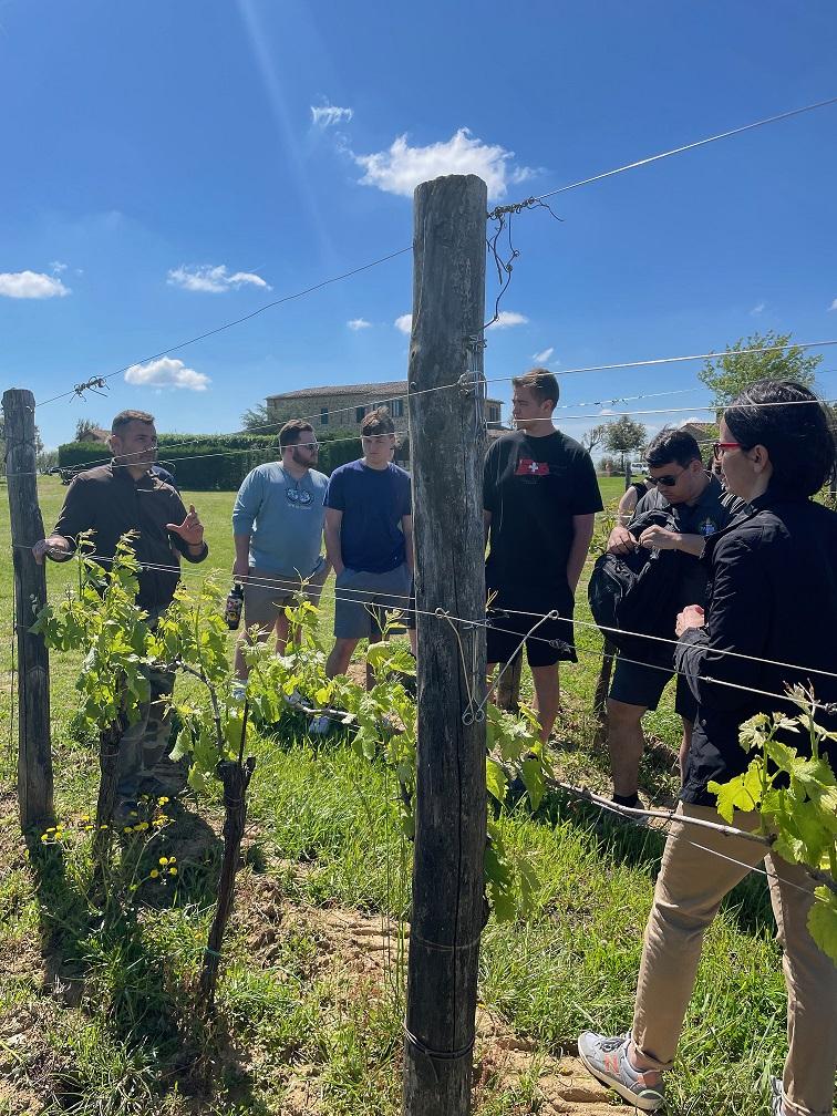 Vineyard tour