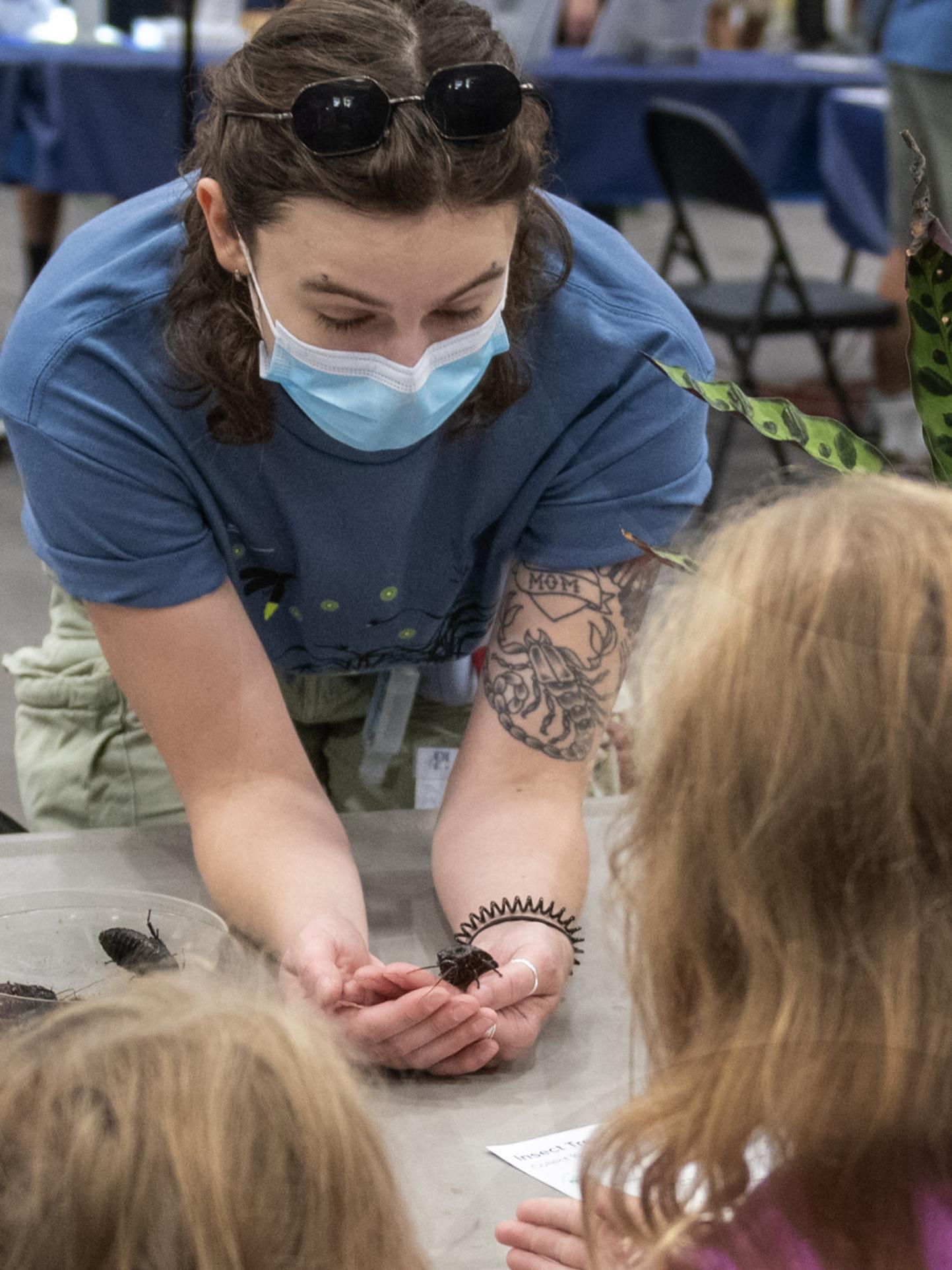 great insect fair