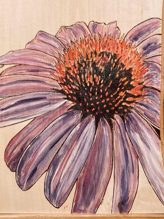 The Allied Artists of Schuylkill