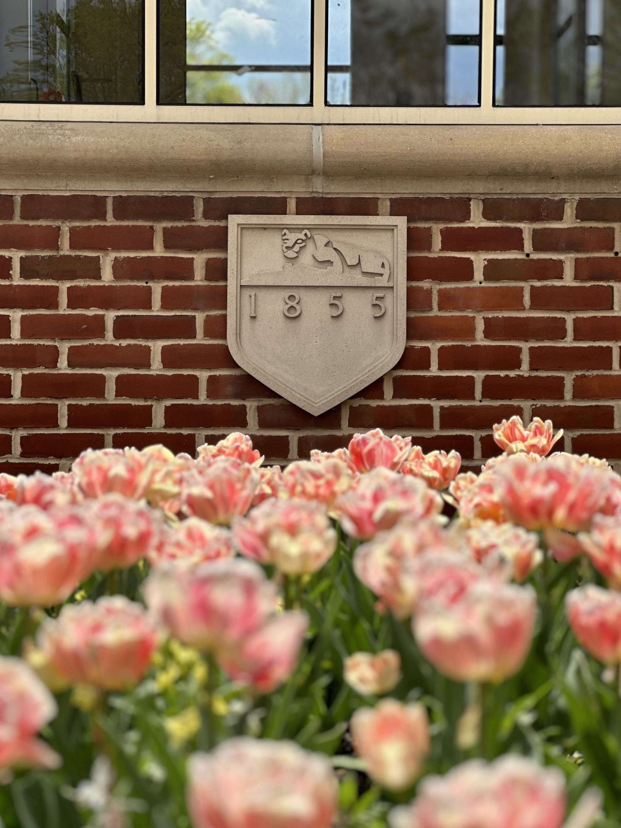 Pink tulips in front of an etched Penn State University shield on a brick building