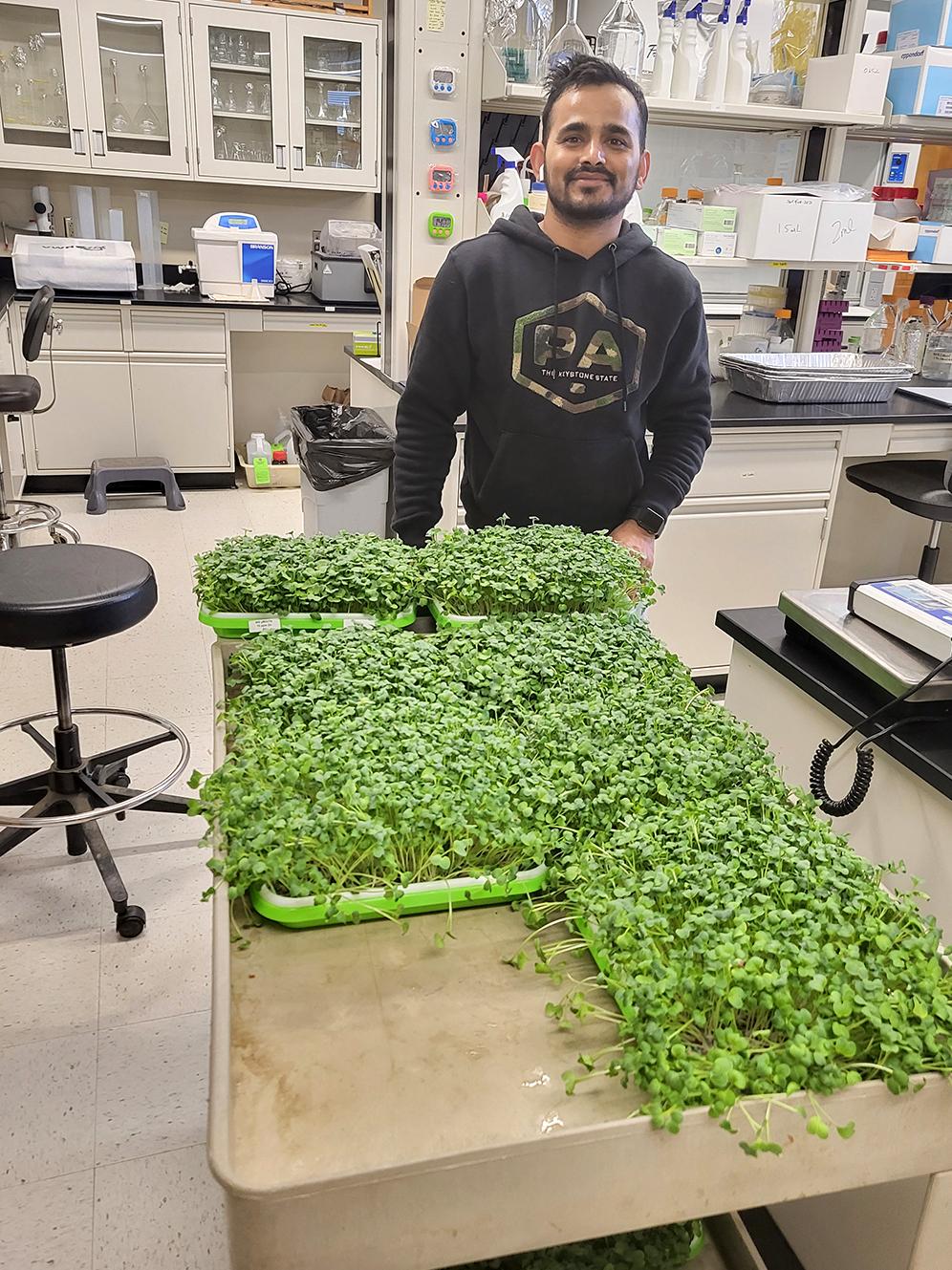 Person standing by a table filled with microgreens