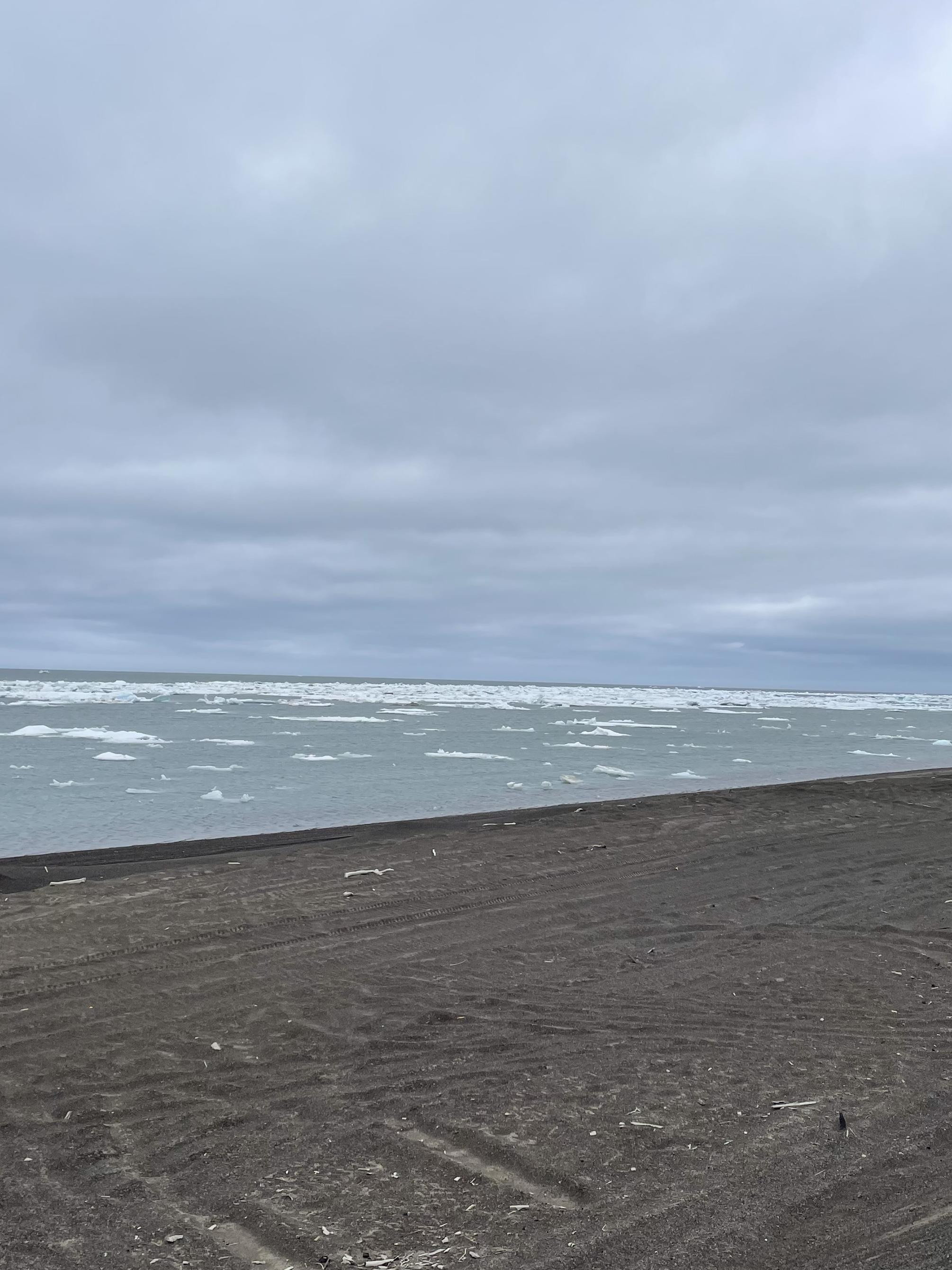 The Arctic Ocean along the coast of Utqiaġvik, Alaska, on Aug. 2, 2024. Chunks of sea ice are visible.