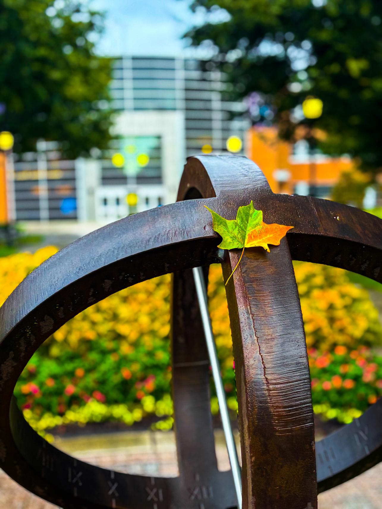 A single green and orange leaf on a metal spherical sculpture