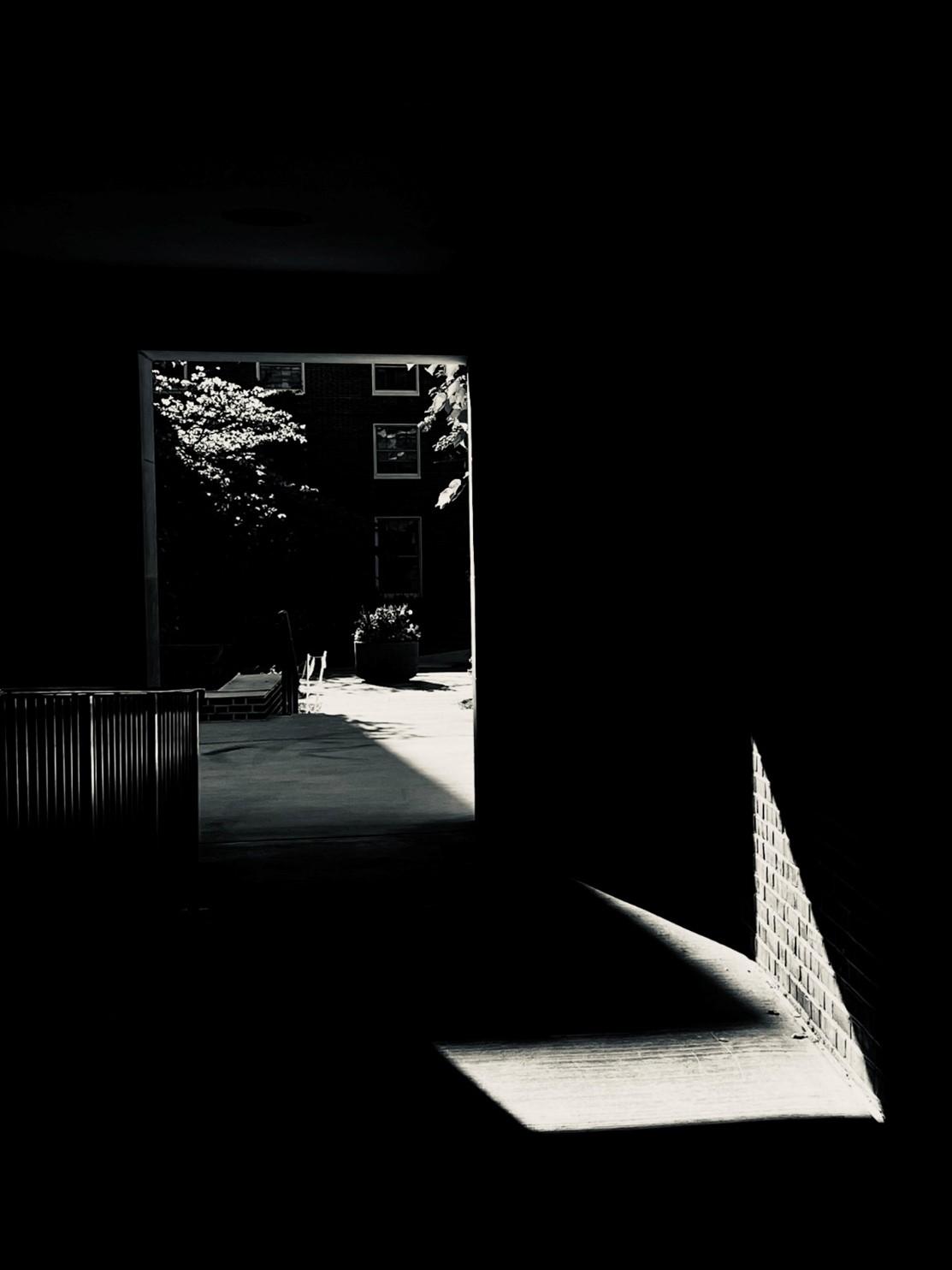 A black and white picture of a pathway in the shadows on a college campus