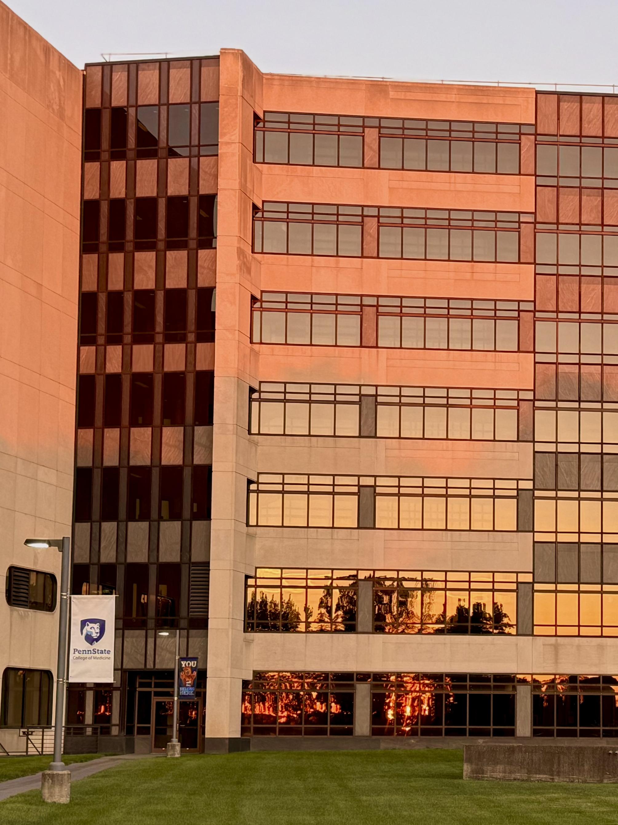 The setting sun shines on a tall building with reflective windows