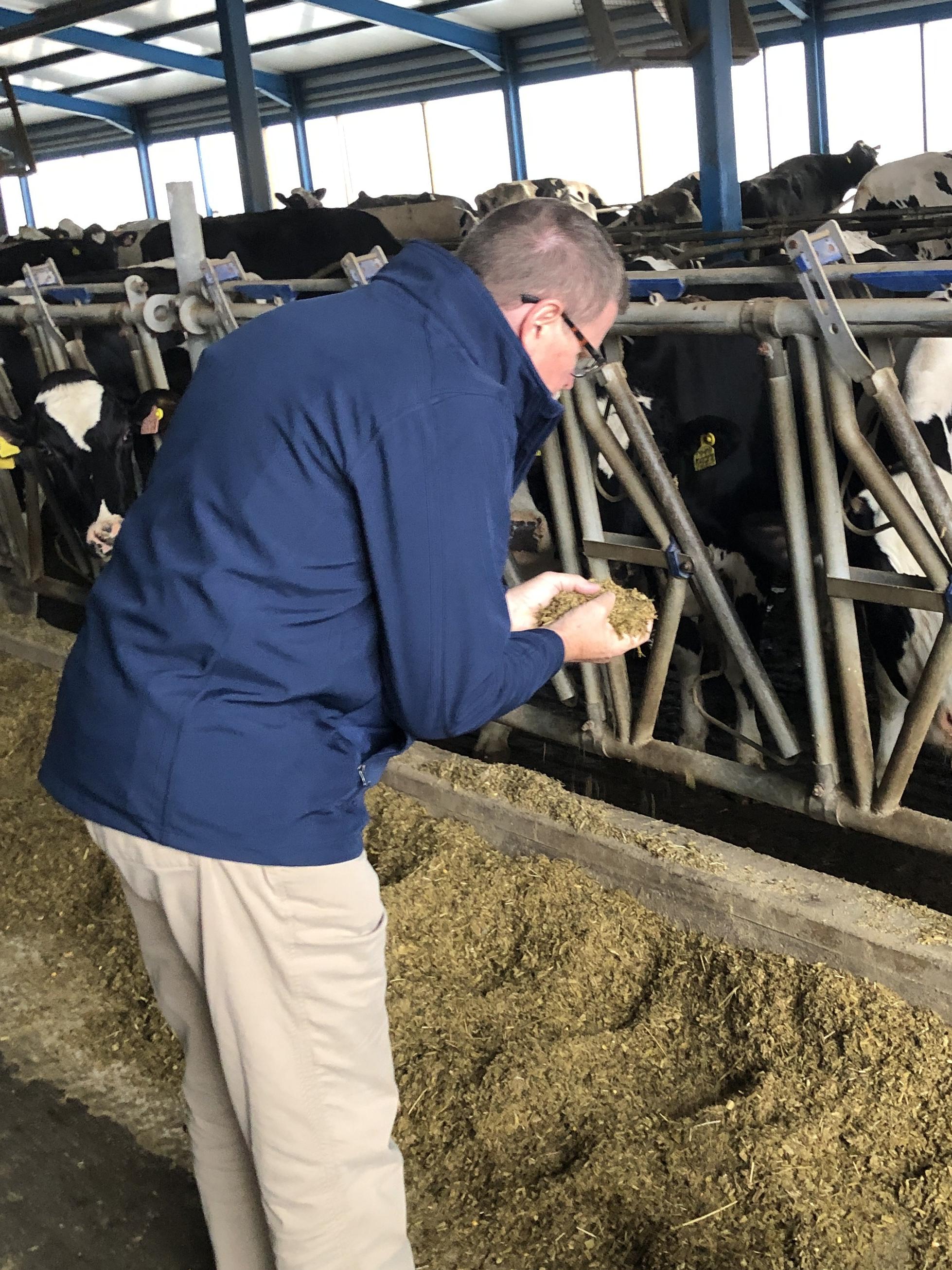 Ott at dairy farm