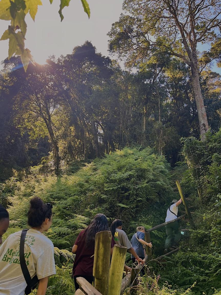Penn State students in Ecuador walking up a trail in the forest