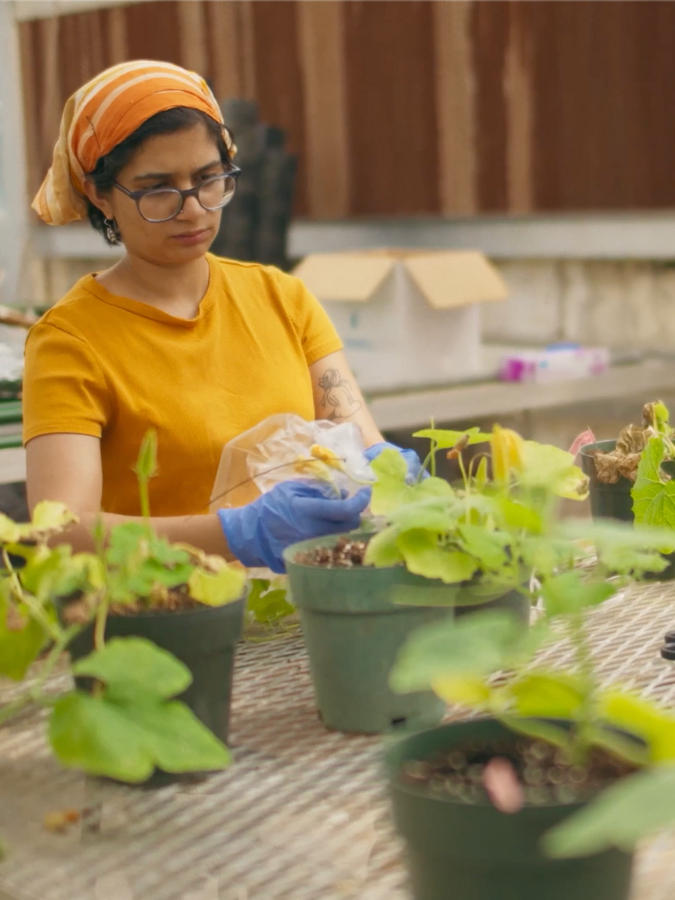 Avehi Singh collecting compounds from flowers