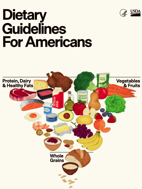 The USDA’s new 2025-2030 Dietary Guidelines for Americans shows protein, dairy and healthy fats on top-left, vegetables and fruits on top-right and whole grains at bottom. USDA logo is in the top-right corner.