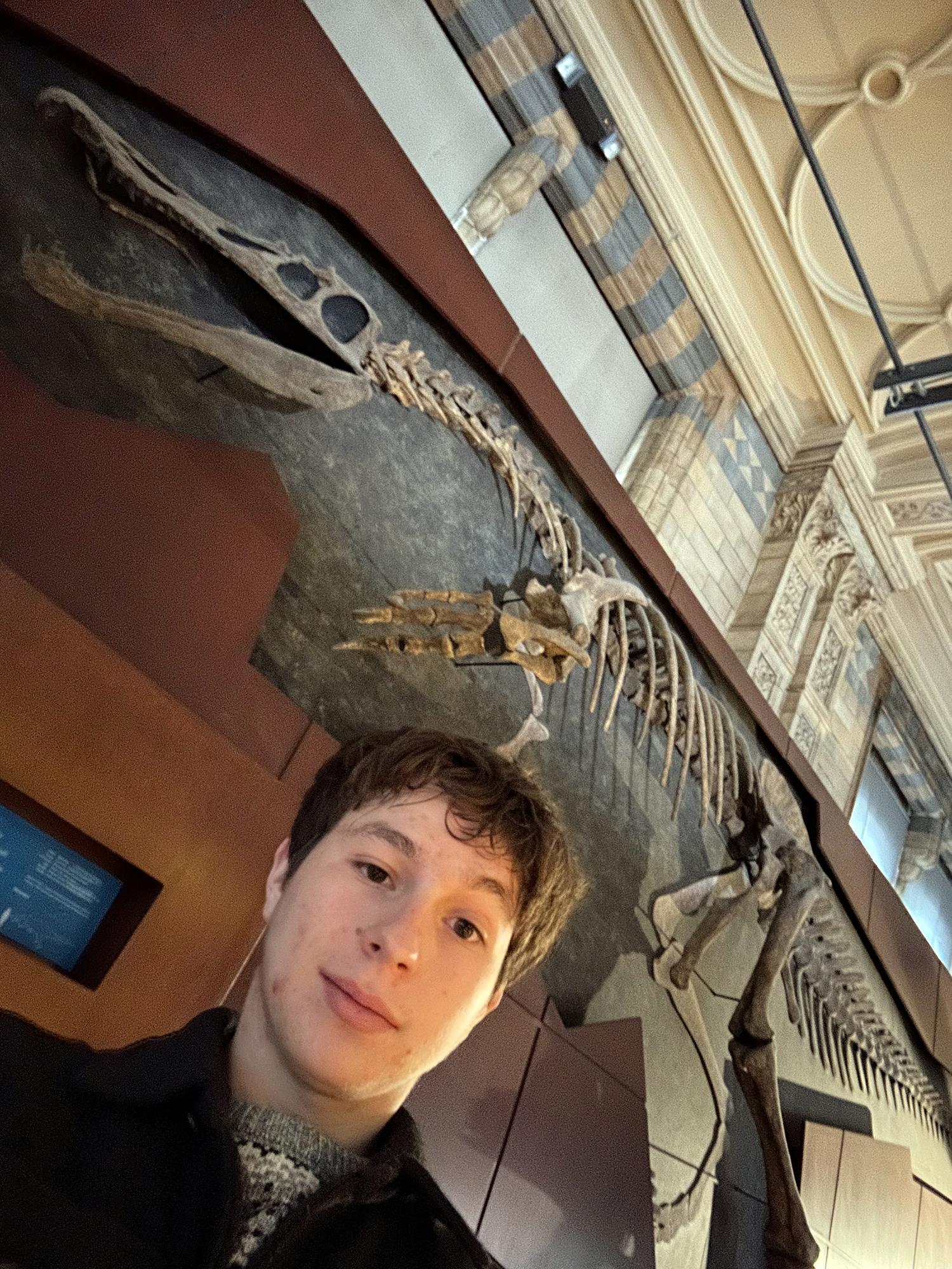 Gennaro DelPreore, a sophomore majoring in geobiology at Penn State Abington, by a Baryonyx skeleton 