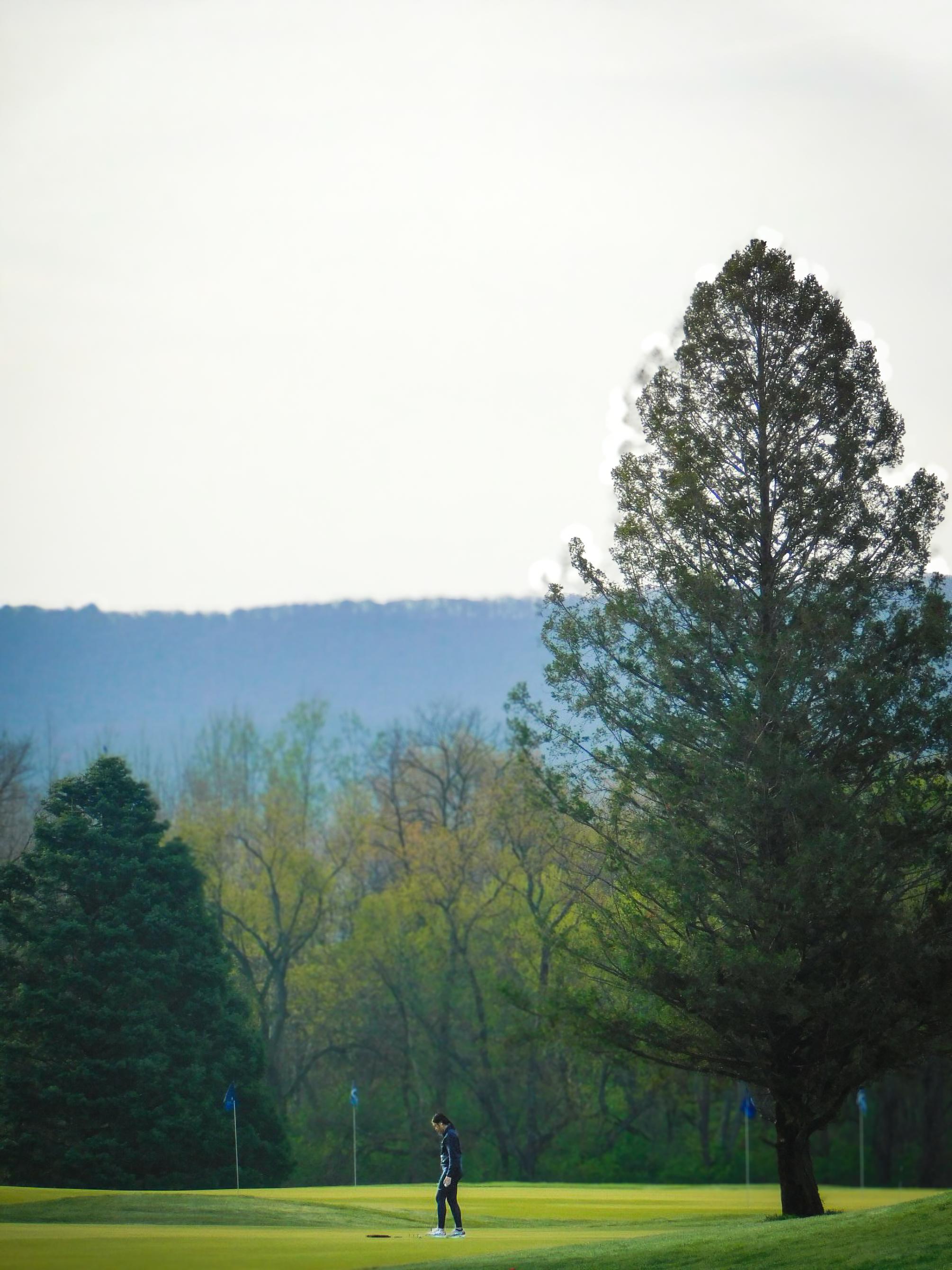 A faraway picture of a single golfer on a green golf course